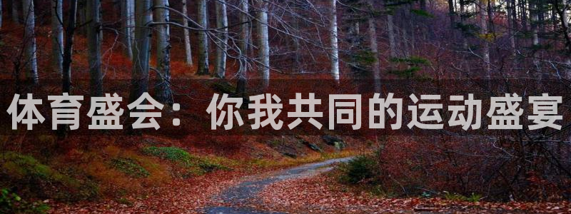 nba柠檬直播：体育盛会：你我共同的运动盛宴