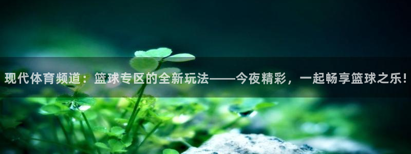 柠檬直播足球赛事：现代体育频道：篮球专区的全新玩法——今夜精彩，一起畅享篮球之乐!