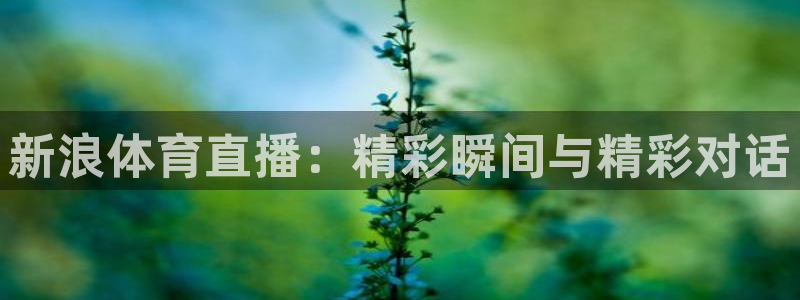 柠檬足球比赛直播：新浪体育直播：精彩瞬间与精彩对话