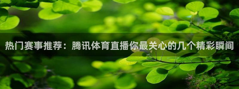 柠檬直播nba篮球：热门赛事推荐：腾讯体育直播你最关心的几个精彩瞬间