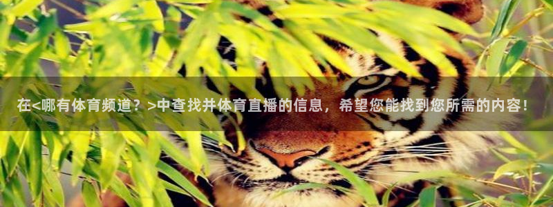 柠檬nba直播在线观看免费：在<哪有体育频道？>中查找并体育直播的信息，希望您能找到您所需的内容！