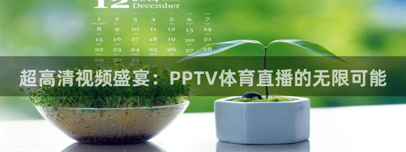 柠檬篮球直播：超高清视频盛宴：PPTV体育直播的无限可能